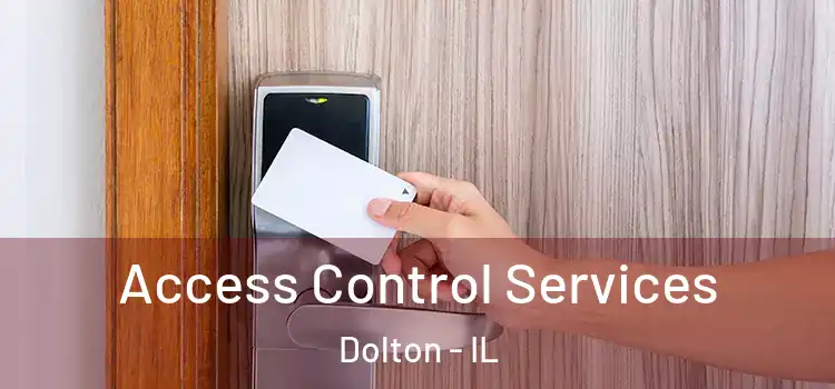 Access Control Services Dolton - IL
