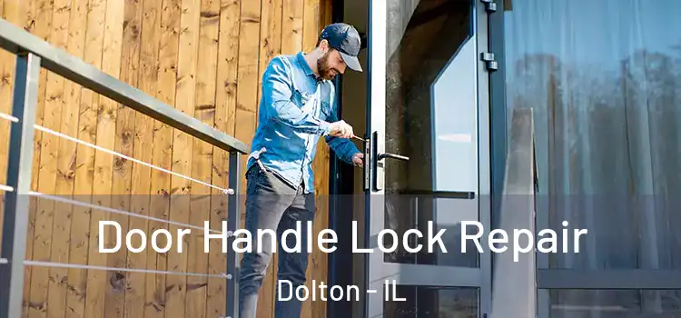Door Handle Lock Repair Dolton - IL