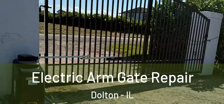 Electric Arm Gate Repair Dolton - IL