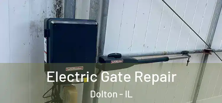 Electric Gate Repair Dolton - IL