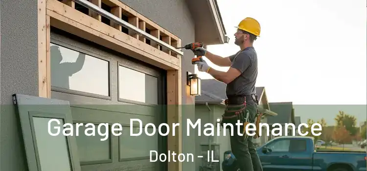 Garage Door Maintenance Dolton - IL