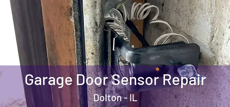 Garage Door Sensor Repair Dolton - IL