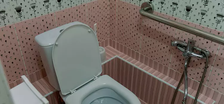 Meeting Diverse Needs With Accessible Restroom Solutions in Dolton, IL