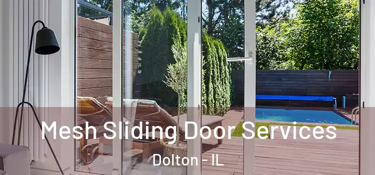 Mesh Sliding Door Services Dolton - IL
