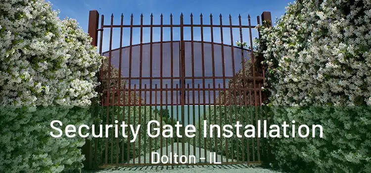 Security Gate Installation Dolton - IL
